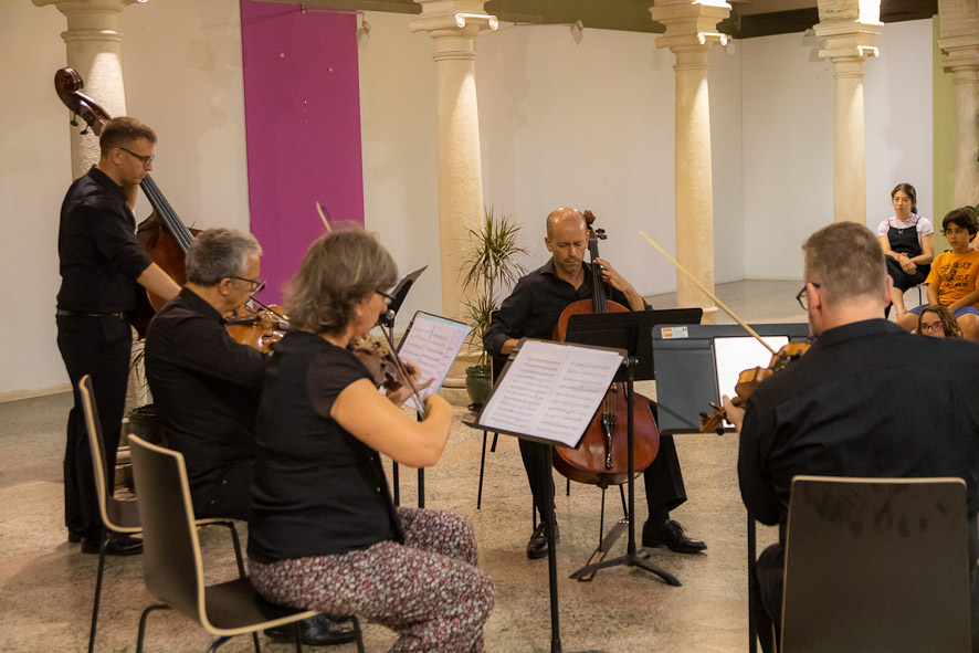 CONCIERTO PROFES cursos dacapo 2022 joven orquesta sinfónica de granada curso de verano-41 (3)